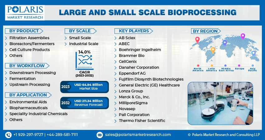 Large and Small Scale Bioprocessing Market Size